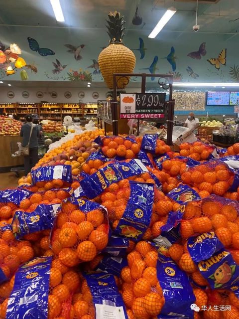 实探！开在华人区的中东超市，看完这彪悍菜价，华人超市都沉默了...