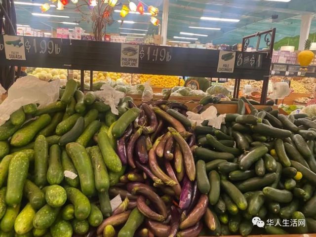 實探！開在華人區的中東超市，看完這彪悍菜價，華人超市都沉默了...