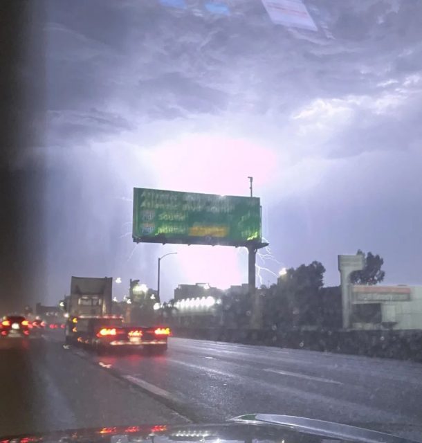 洛杉矶突发巨大雷暴，一女子遛狗时连人带狗被闪电击中身亡，紧急关闭户外活动