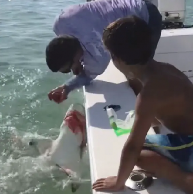 驚悚視頻! 男子海釣驚現6尺巨獸 下一秒手指遭撕咬斷裂 慘叫一片!