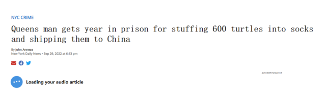 华人兄弟走私600只乌龟到中国，罚款1.5万美元,坐牢一年