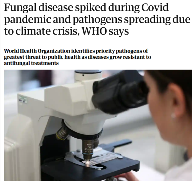 史上首次! 致命真菌威脅全球健康! WHO發清單預警! 三疫大流行專家急: 這將是一場馬拉松