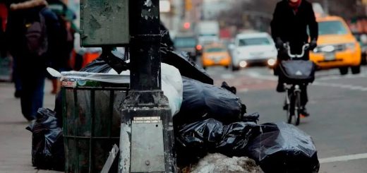 遏制鼠患 紐約市擬變更倒垃圾時間表 違者罰款