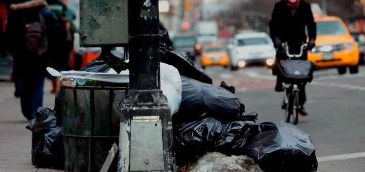 遏制鼠患 纽约市拟变更倒垃圾时间表 违者罚款