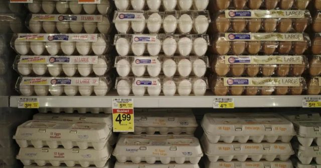 涨涨涨！全美鸡蛋连涨3倍，华人老板已经吃不消