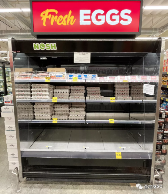 加州「蛋荒」！價格飆升數倍，有錢也難買