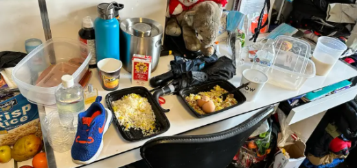 美国星级酒店 非法移民一天500美金 成吨的食物被扔进垃圾桶 空酒瓶满屋