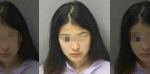 開車撞父！華裔天才少女被斯坦福取消錄取！如今又考上名校…