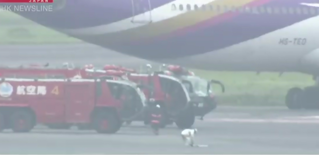 剛剛! 載471人的兩架客機相撞! 都是空客A330 機場緊急應對 華裔親歷現場!