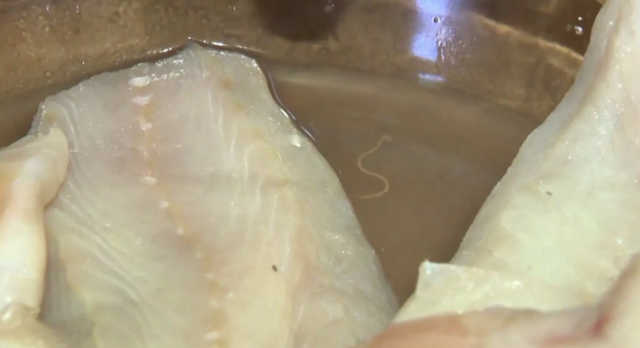 Costco的三文鱼“会动”！网友拍到扭动的蠕虫 专家称：没事 很常见