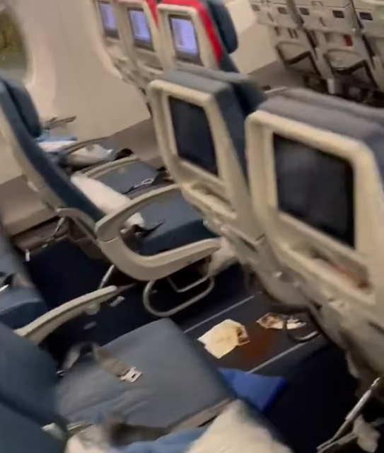 美国机上乘客腹泻不止，屎喷满地，飞机紧急返航！网友傻眼：到底怎么喷的？！