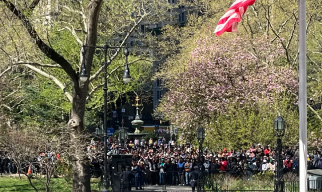 聽聞「露面就發綠卡」，上千黑人「包圍」紐約市議會廳！馬斯克為合法移民發聲！