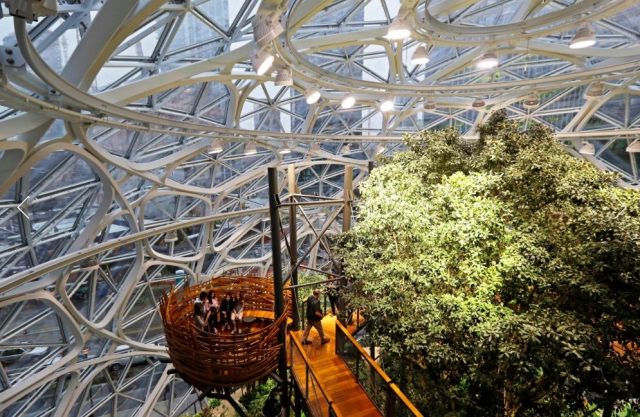 羡恨 在雨林上班酷毙了 Amazon 最新 生态圈 办公室正式启用 北美海客生活网