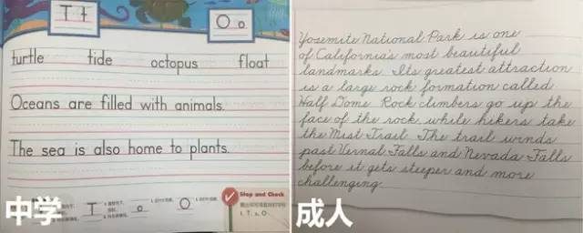 美国小学生入学后学什么英文字体