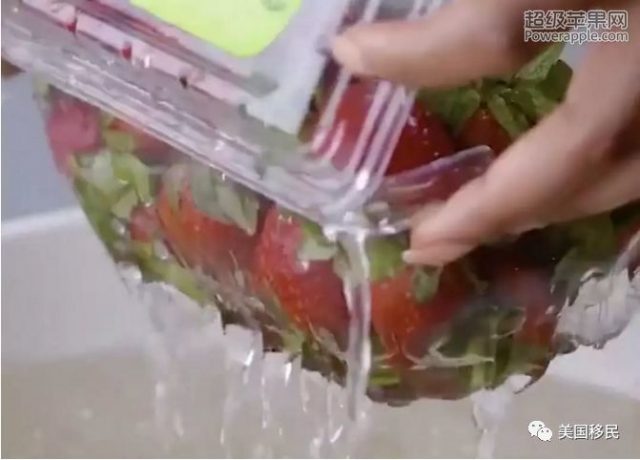 在美华人如何保鲜食物:这些妙招太赞了