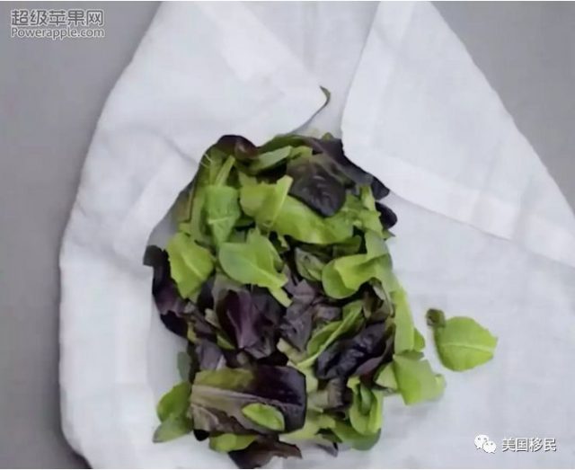 在美华人如何保鲜食物:这些妙招太赞了