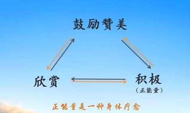 那盆被霸凌30天的植物，终于被“骂”死了——揭示语言能量的惊人秘密