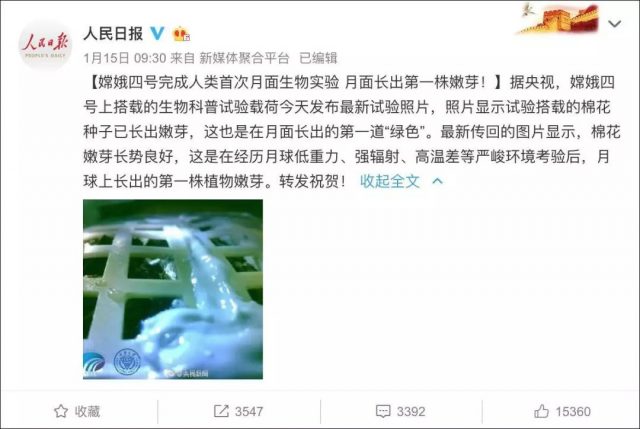 哈尔滨奇女子惊呆老外：中国人修理地球的能力无与伦比....