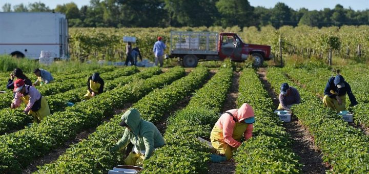 光顾着关注弹劾总统和S386了 非法移民大赦第一步 悄悄被通过了！