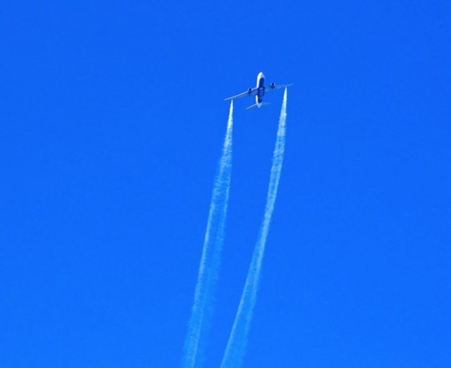 受傷升至60人！洛杉磯飛上海航班高空灑油迫降，機長對話曝光