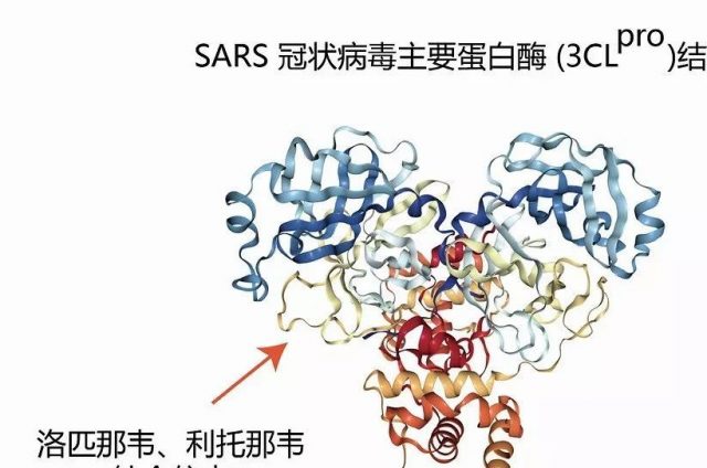 疫苗来了！新型冠状病毒mRNA疫苗研发正式立项