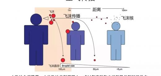 重磅｜新冠肺炎可通过气溶胶远距离传播？加拿大专家称无需恐慌