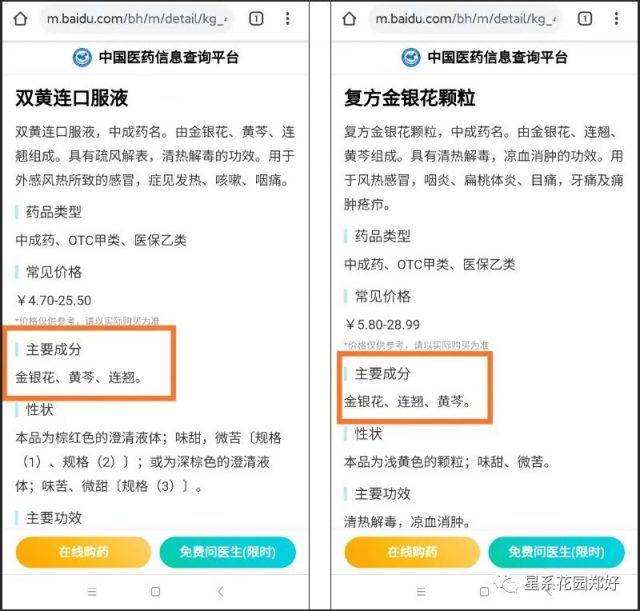 双黄连真是抗病毒神药？别怪咱没有提醒过你…