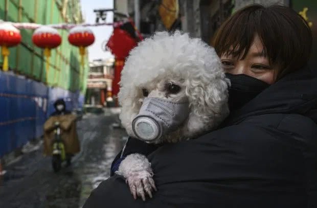 自动草稿