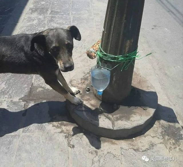 90歲奶奶感染後拒絕呼吸機：留給年輕人吧，我的一生已經很美好了