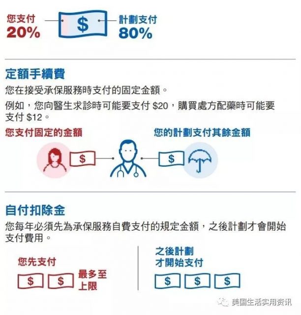 联邦红蓝卡申请攻略九点须知