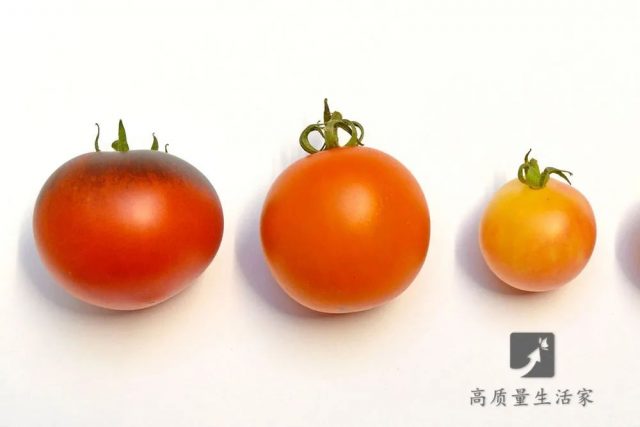 菜农从不外说的15个挑菜技巧，买菜再也不怕被坑了