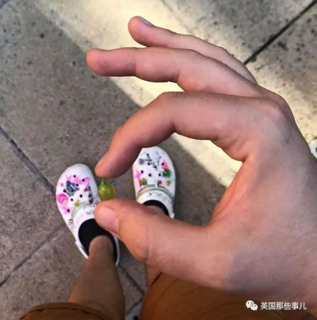 当歪果仁第一次尝试种菜.... 种出来的都什么迷你玩意哈哈哈哈....