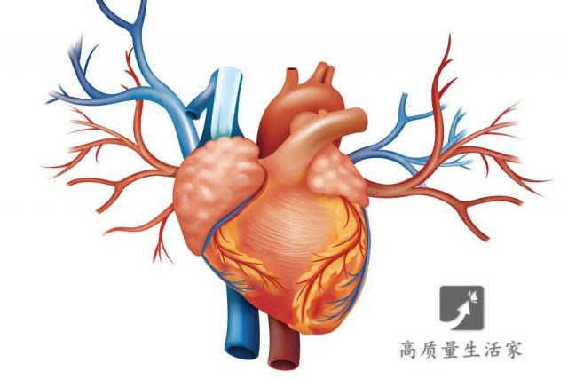 人体堵不起的五根血管！这四种食物最好少吃或不吃！