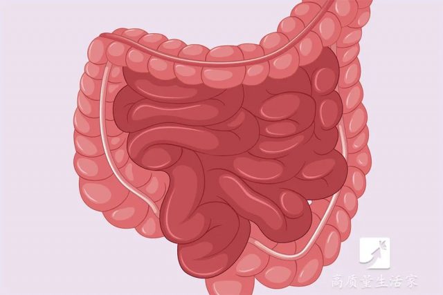 心怕盐、胃怕多、肠怕....10位​医生告诉你！器官怕什么