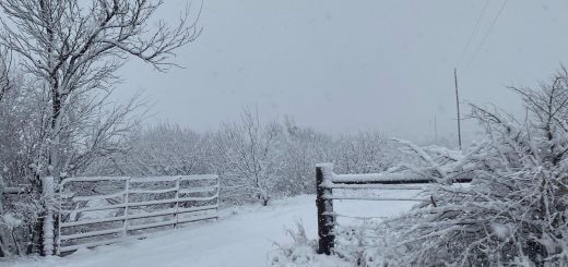 達村下雪啦！達村人冬天在開車出門前 先來學幾招兒 保命要緊！