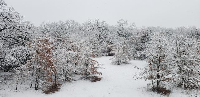 达村下雪啦！达村人冬天在开车出门前 先来学几招儿 保命要紧！