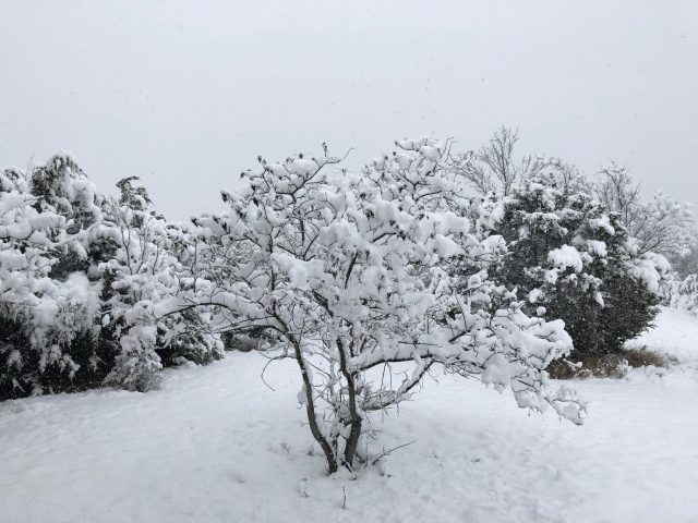 达村下雪啦！达村人冬天在开车出门前 先来学几招儿 保命要紧！