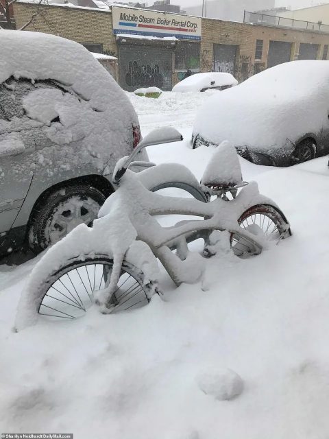 恐怖! 破纪录雪灾席卷北美 疫苗接种被迫中断 民众冒毒扎堆打雪仗!