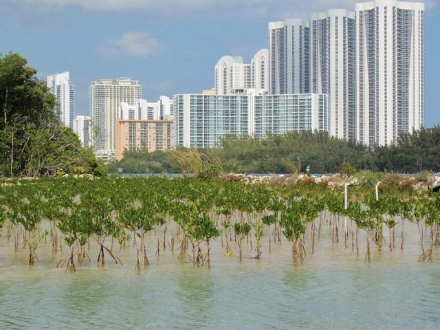 新鲜出炉！全美最惨淡的40个居住地 你在的城市“上榜”了吗