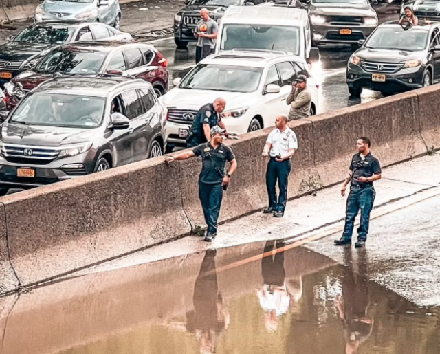 洪水警报！纽约水漫金山，地铁站变水帘洞，曼哈顿成孤岛！