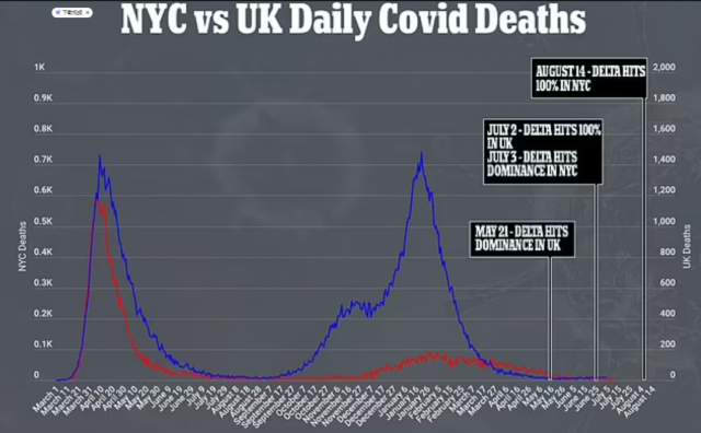 突發！美國這裡陽性率上升700%！今起恢復口罩令，警察局長發聲明：拒絕執行！