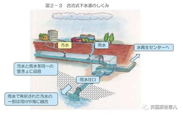 铁人三项选手集体呕吐，日媒称水质没问题，日本网友自己吵起来了！