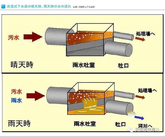 铁人三项选手集体呕吐，日媒称水质没问题，日本网友自己吵起来了！