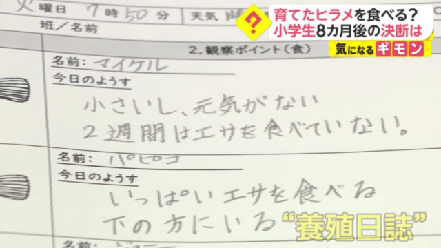 命令小学生亲口吃掉自己养了8个月的宠物鱼，日本学校惹巨大争议