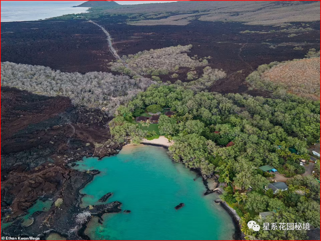 有錢任性？火山口造天價別墅老貝花7800萬美元在熔岩田邊上「安家」，引爆美國網路…