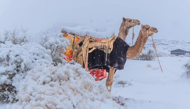 异常天气再现，罕见世界奇观，雪落撒哈拉沙漠