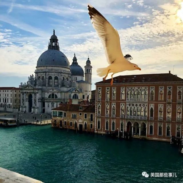 網友分享一波自己拍下的世界各地美景，看完好想去旅行呀