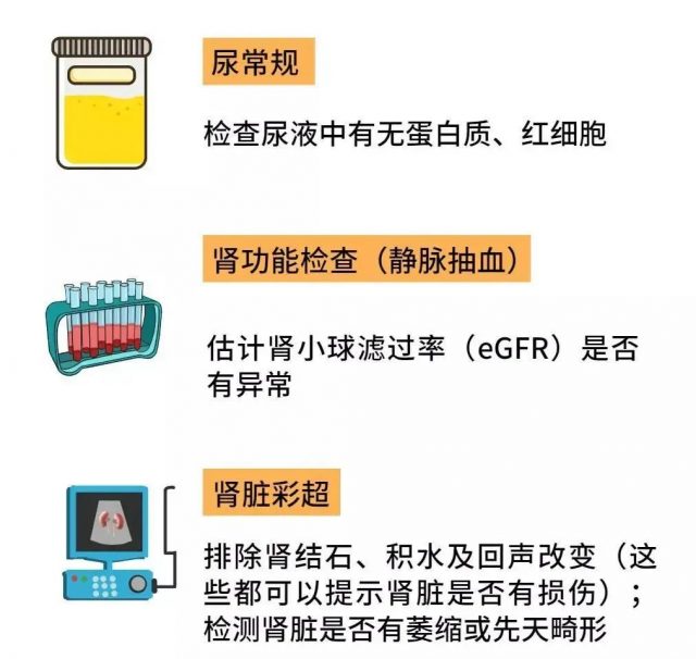 有这 7 种症状请当心，你的肾可能已经悄悄出问题了……