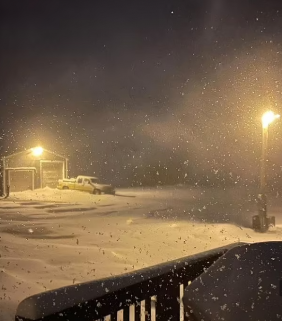 宛如末日! 史級暴風雪席捲北美 加拿大封路關校! 龍捲風屠城 23人被吹翻