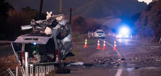 慘烈! 計程車瘋狂撞行人 尖叫響徹大街! 亞裔一家7口車禍死 華人母女當場喪命！